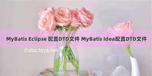 MyBatis Eclipse 配置DTD文件 MyBatis Idea配置DTD文件