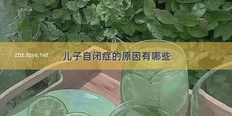 儿子自闭症的原因有哪些