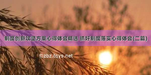 制度创新攻坚方案心得体会精选 抓好制度落实心得体会(二篇)