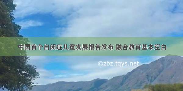 中国首个自闭症儿童发展报告发布 融合教育基本空白