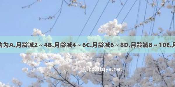 2岁以内乳牙的数目约为A.月龄减2～4B.月龄减4～6C.月龄减6～8D.月龄减8～10E.月龄减10～12ABCDE