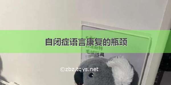 自闭症语言康复的瓶颈