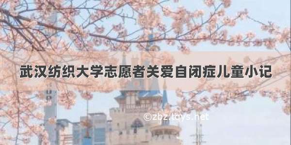 武汉纺织大学志愿者关爱自闭症儿童小记