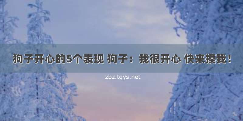 狗子开心的5个表现 狗子：我很开心 快来摸我！