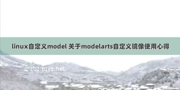 linux自定义model 关于modelarts自定义镜像使用心得
