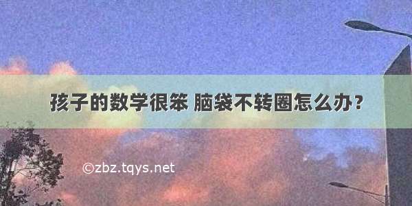 孩子的数学很笨 脑袋不转圈怎么办？