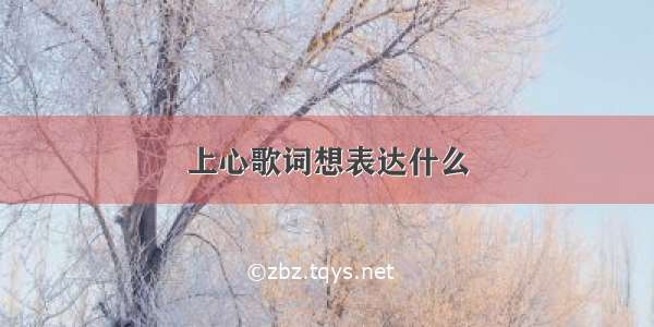 上心歌词想表达什么