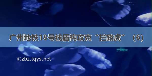 广州地铁18号线盾构攻克“拦路虎”（6）