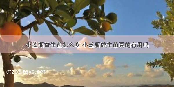 小蓝瓶益生菌怎么吃 小蓝瓶益生菌真的有用吗