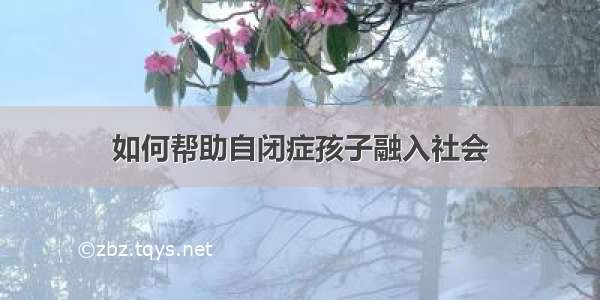 如何帮助自闭症孩子融入社会