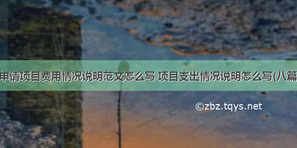 申请项目费用情况说明范文怎么写 项目支出情况说明怎么写(八篇)