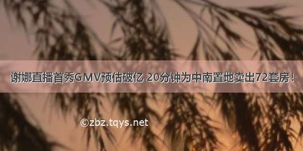 谢娜直播首秀GMV预估破亿 20分钟为中南置地卖出72套房！