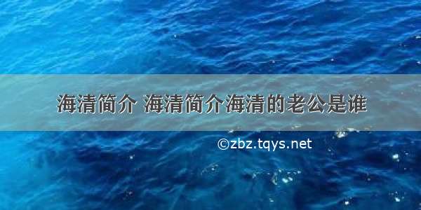 海清简介 海清简介海清的老公是谁