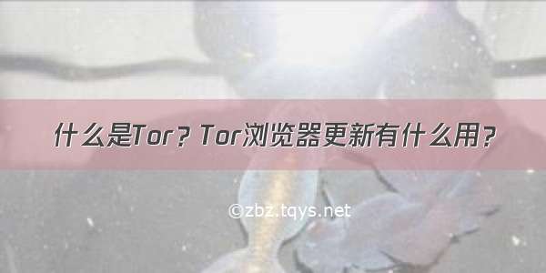 什么是Tor？Tor浏览器更新有什么用？