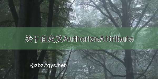 关于自定义AuthorizeAttribute