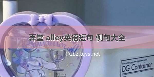 弄堂 alley英语短句 例句大全