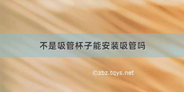 不是吸管杯子能安装吸管吗