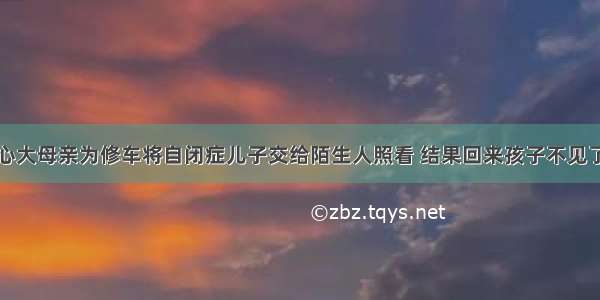 心大母亲为修车将自闭症儿子交给陌生人照看 结果回来孩子不见了