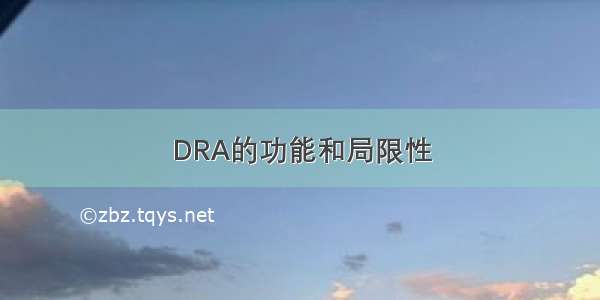 DRA的功能和局限性