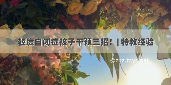 轻度自闭症孩子干预三招！| 特教经验