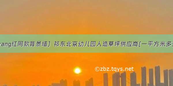 （wang红同款背景墙）祁东北京幼儿园人造草坪供应商(一平方米多少钱)