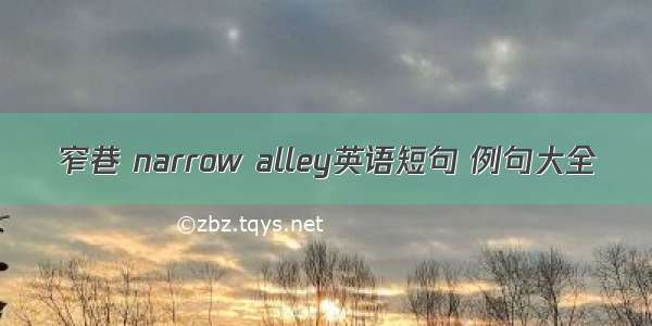 窄巷 narrow alley英语短句 例句大全