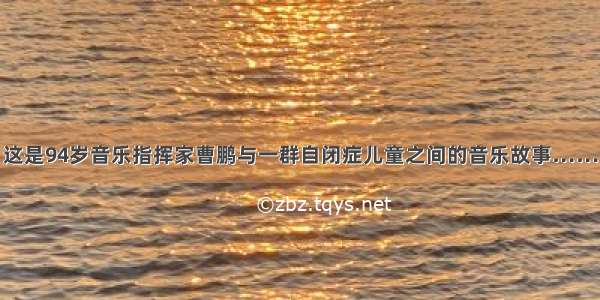 这是94岁音乐指挥家曹鹏与一群自闭症儿童之间的音乐故事……