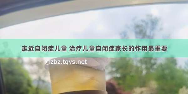 走近自闭症儿童 治疗儿童自闭症家长的作用最重要