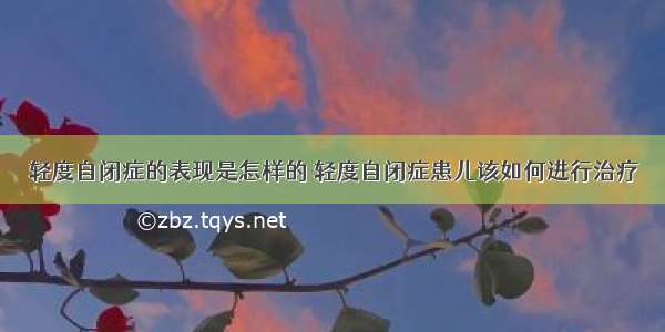 轻度自闭症的表现是怎样的 轻度自闭症患儿该如何进行治疗