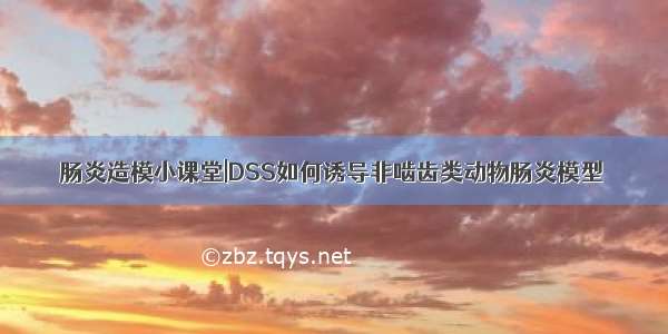 肠炎造模小课堂|DSS如何诱导非啮齿类动物肠炎模型