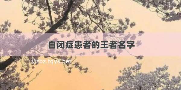 自闭症患者的王者名字