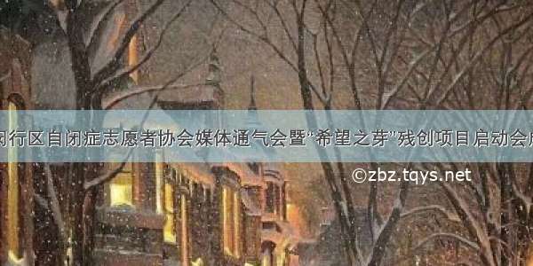 上海市闵行区自闭症志愿者协会媒体通气会暨“希望之芽”残创项目启动会成功举行