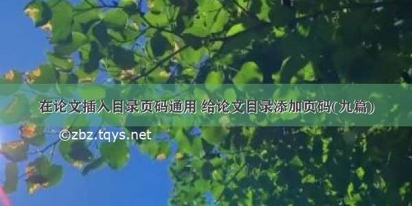 在论文插入目录页码通用 给论文目录添加页码(九篇)