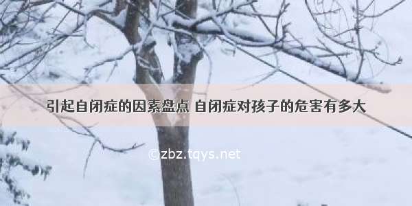 引起自闭症的因素盘点 自闭症对孩子的危害有多大