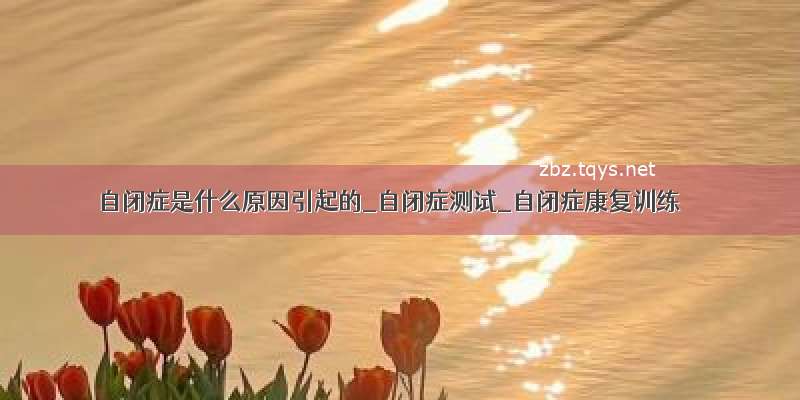 自闭症是什么原因引起的_自闭症测试_自闭症康复训练