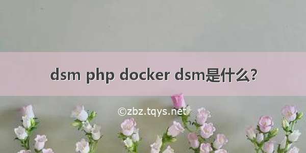dsm php docker dsm是什么？