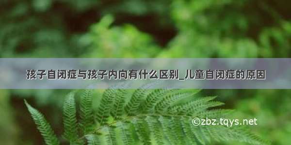 孩子自闭症与孩子内向有什么区别_儿童自闭症的原因