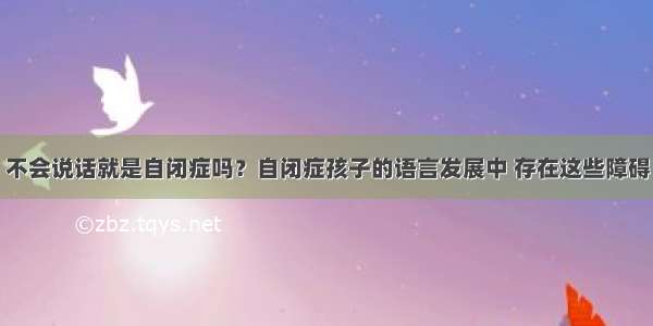 不会说话就是自闭症吗？自闭症孩子的语言发展中 存在这些障碍