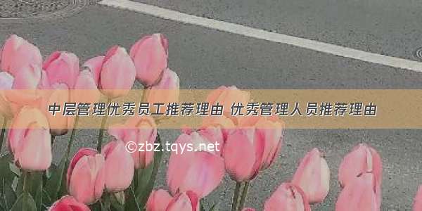 中层管理优秀员工推荐理由 优秀管理人员推荐理由