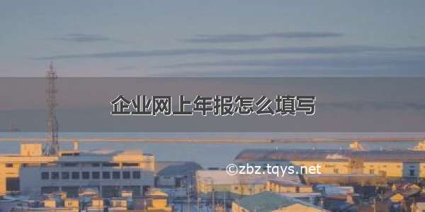 企业网上年报怎么填写