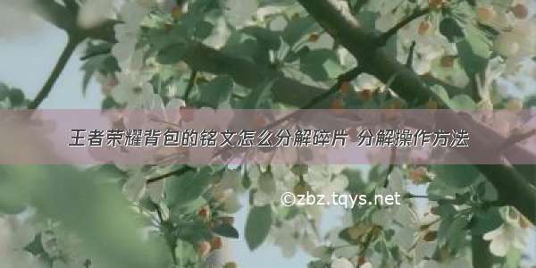 王者荣耀背包的铭文怎么分解碎片 分解操作方法