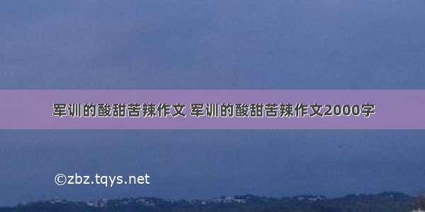 军训的酸甜苦辣作文 军训的酸甜苦辣作文2000字