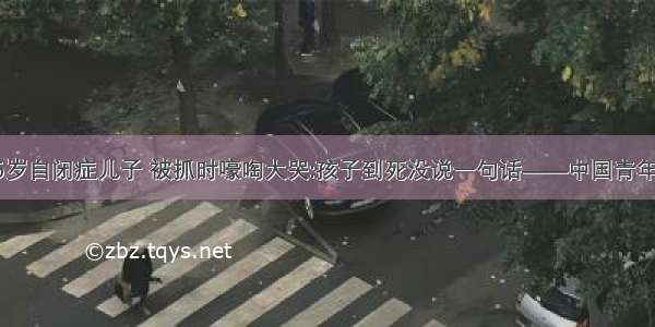 男子勒死5岁自闭症儿子 被抓时嚎啕大哭:孩子到死没说一句话——中国青年网 触屏版