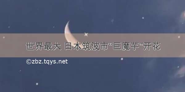 世界最大 日本筑波市“巨魔芋”开花