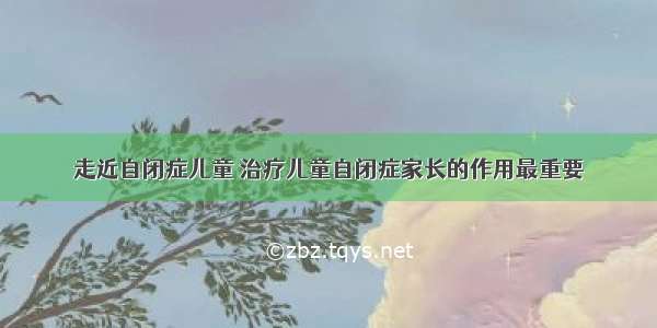 走近自闭症儿童 治疗儿童自闭症家长的作用最重要