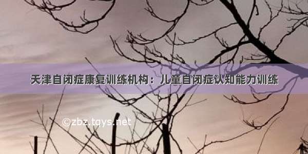 天津自闭症康复训练机构：儿童自闭症认知能力训练