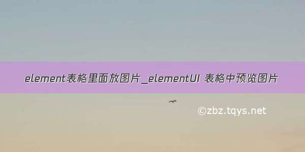 element表格里面放图片_elementUI 表格中预览图片