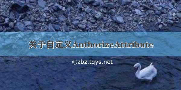 关于自定义AuthorizeAttribute