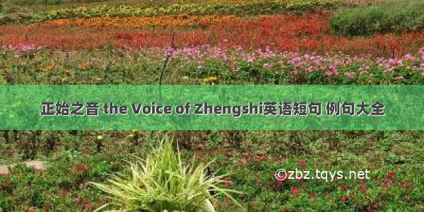 正始之音 the Voice of Zhengshi英语短句 例句大全