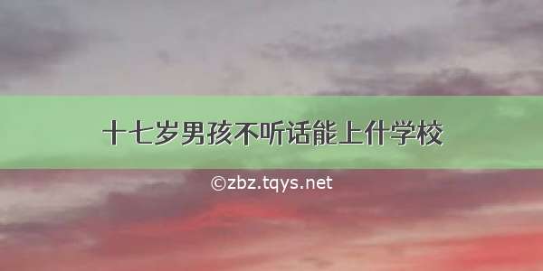 十七岁男孩不听话能上什学校